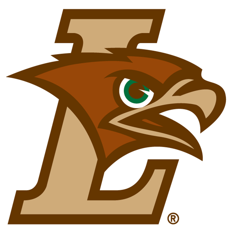 Lehigh Mountain Hawks iron ons